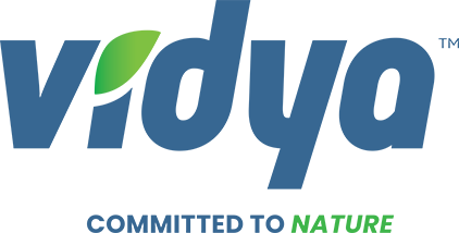 Vidya Logo_Tagline-04